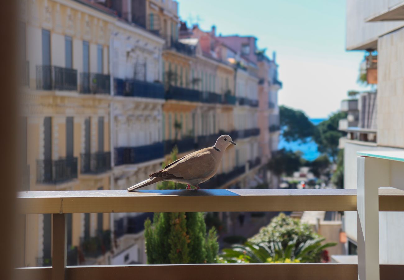 Appartement à Cannes - LE GRAY